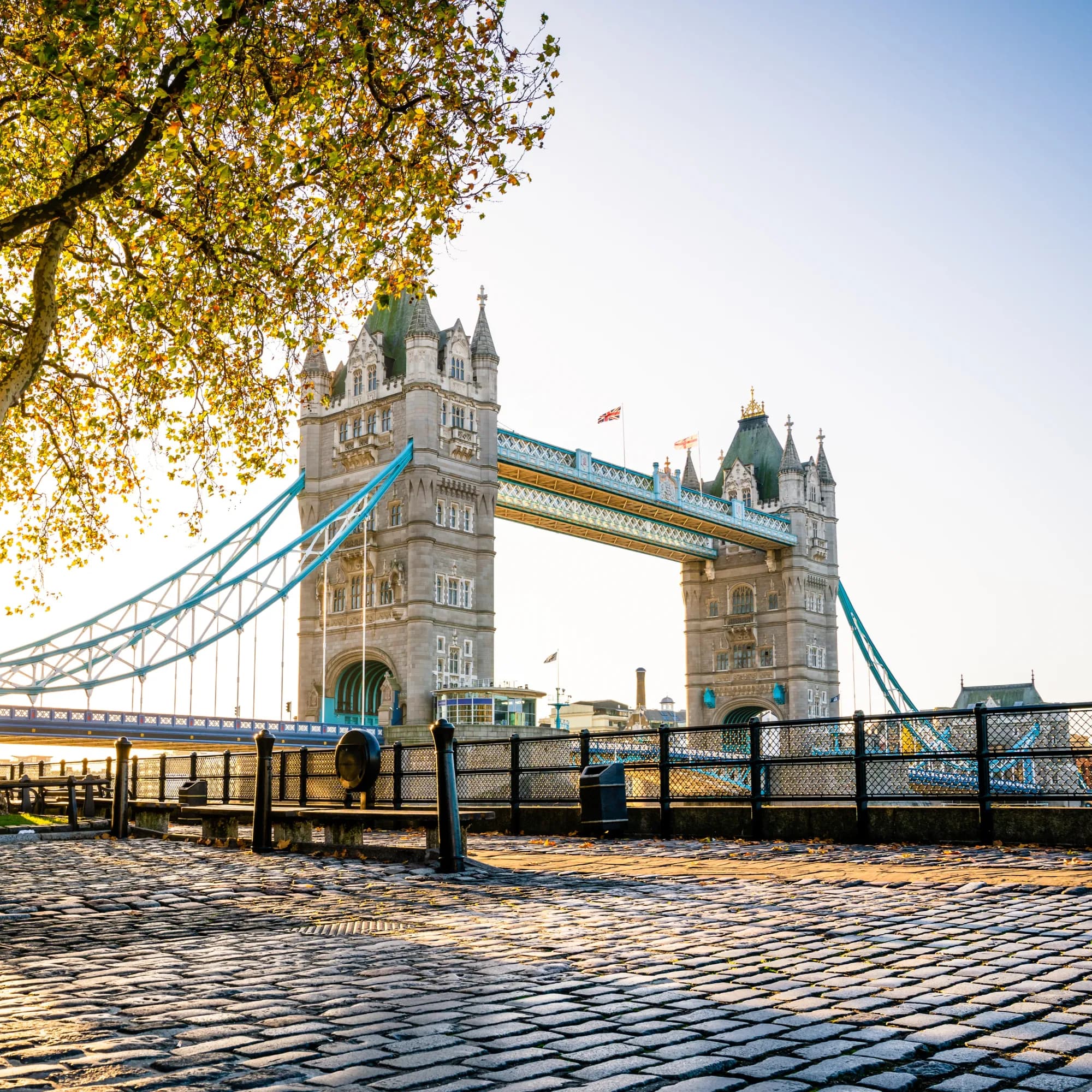Discover full UK area guides in Manchester, London and Birmingham